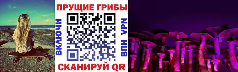 Галлюциногенные грибы Psilocybe  shop клад  Щёлково 